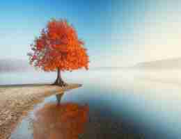 dac访‍问​控‌制‌模‍型﻿